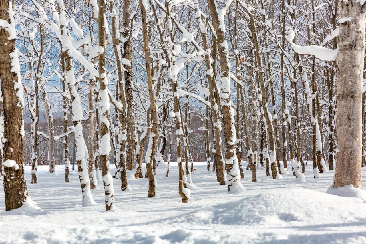 מלון קוטצ'אן Andaru Collection Niseko מראה חיצוני תמונה