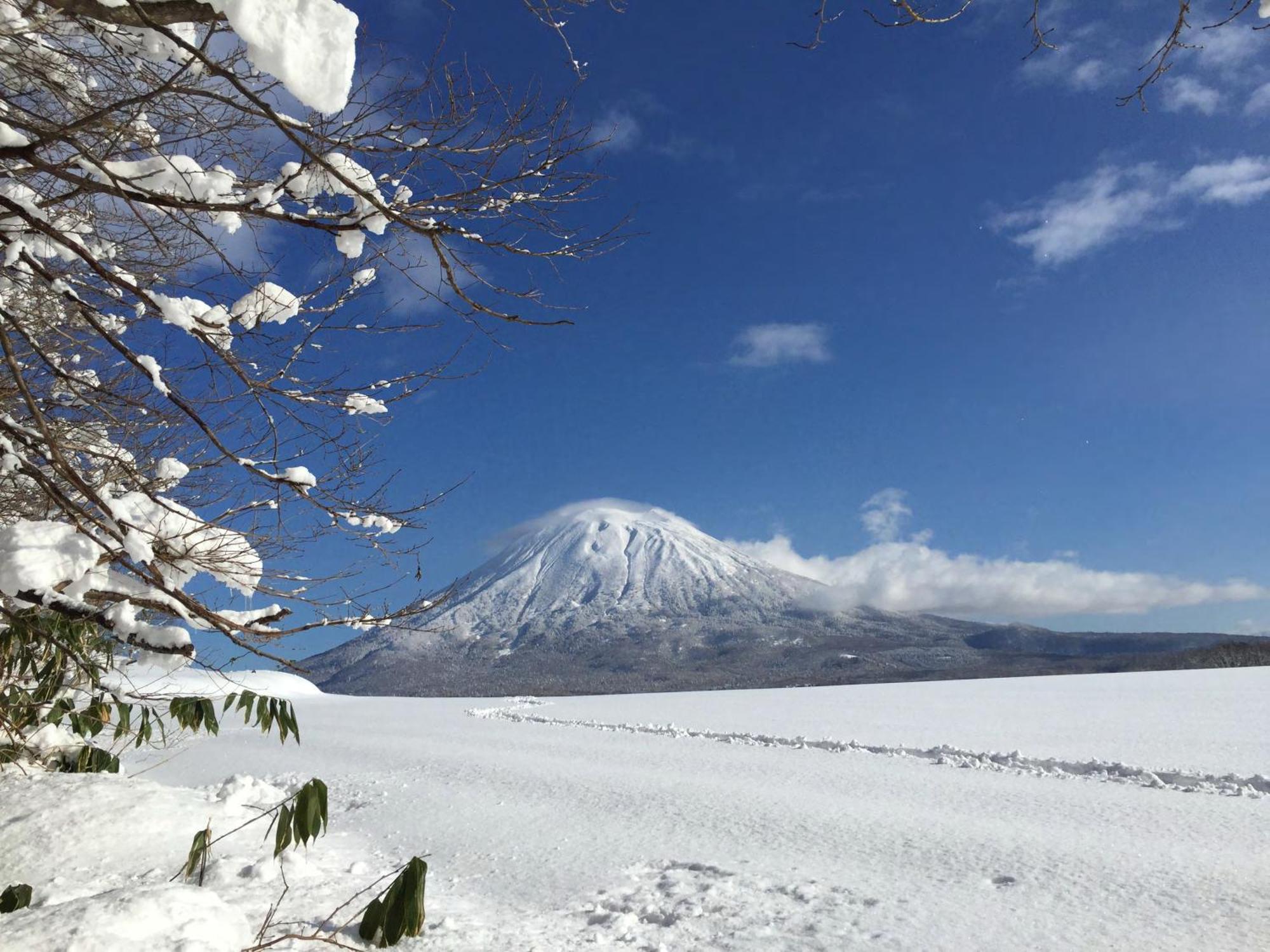 מלון קוטצ'אן Andaru Collection Niseko מראה חיצוני תמונה